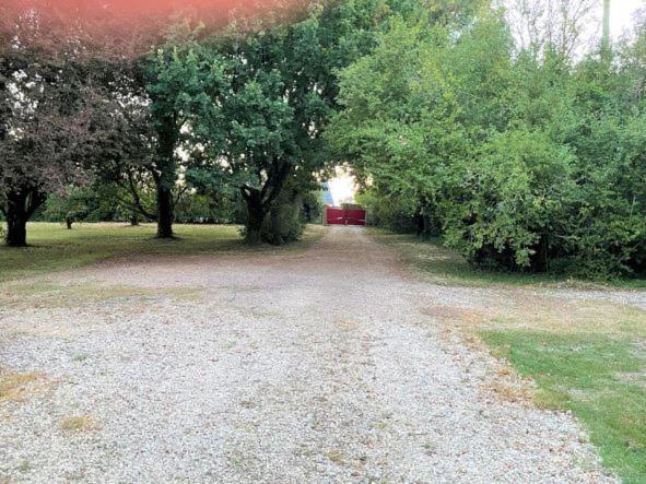 La Maison Tournesol - 3 Bedroom House With Large Garden Near Saumur Saint-Martin-de-la-Place Exteriör bild